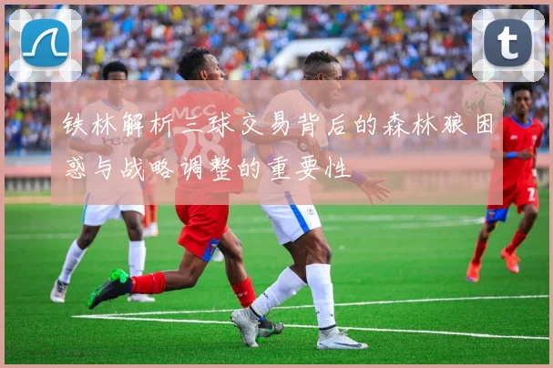 铁林解析三球交易背后的森林狼困惑与战略调整的重要性