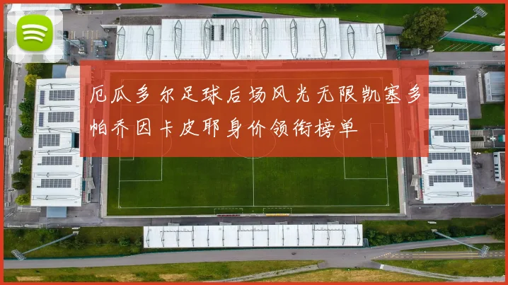 厄瓜多尔足球后场风光无限凯塞多帕乔因卡皮耶身价领衔榜单