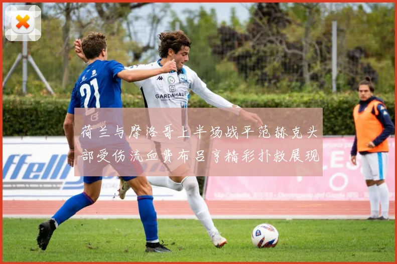 荷兰与摩洛哥上半场战平范赫克头部受伤流血费布吕亨精彩扑救展现实力